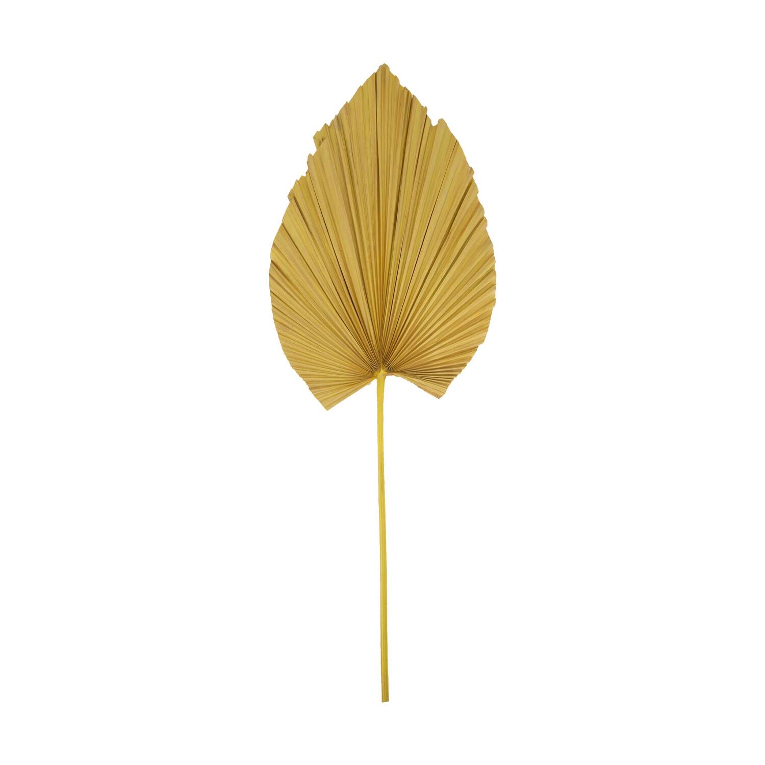 Palm leaf nature 33x1x89cm