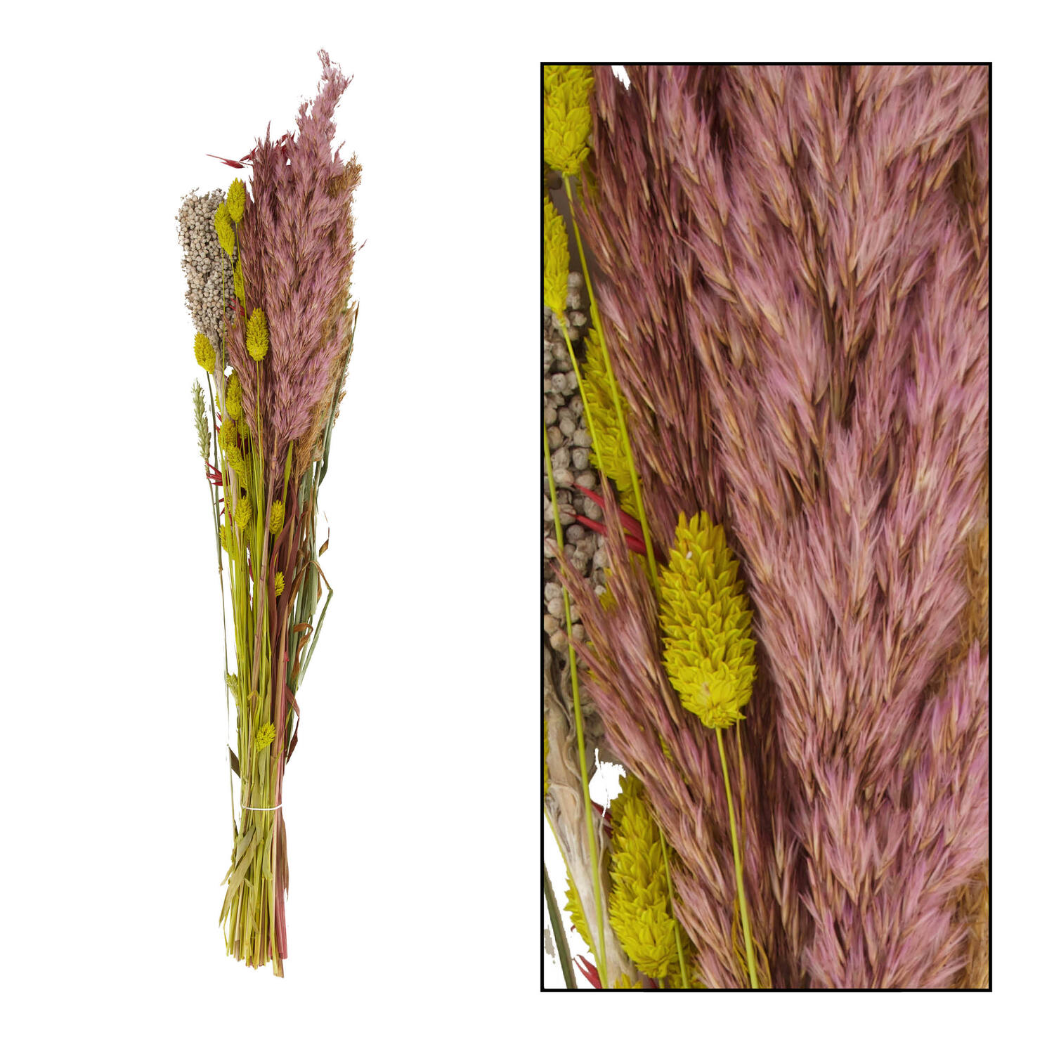 Dried flower bouquet - Multi