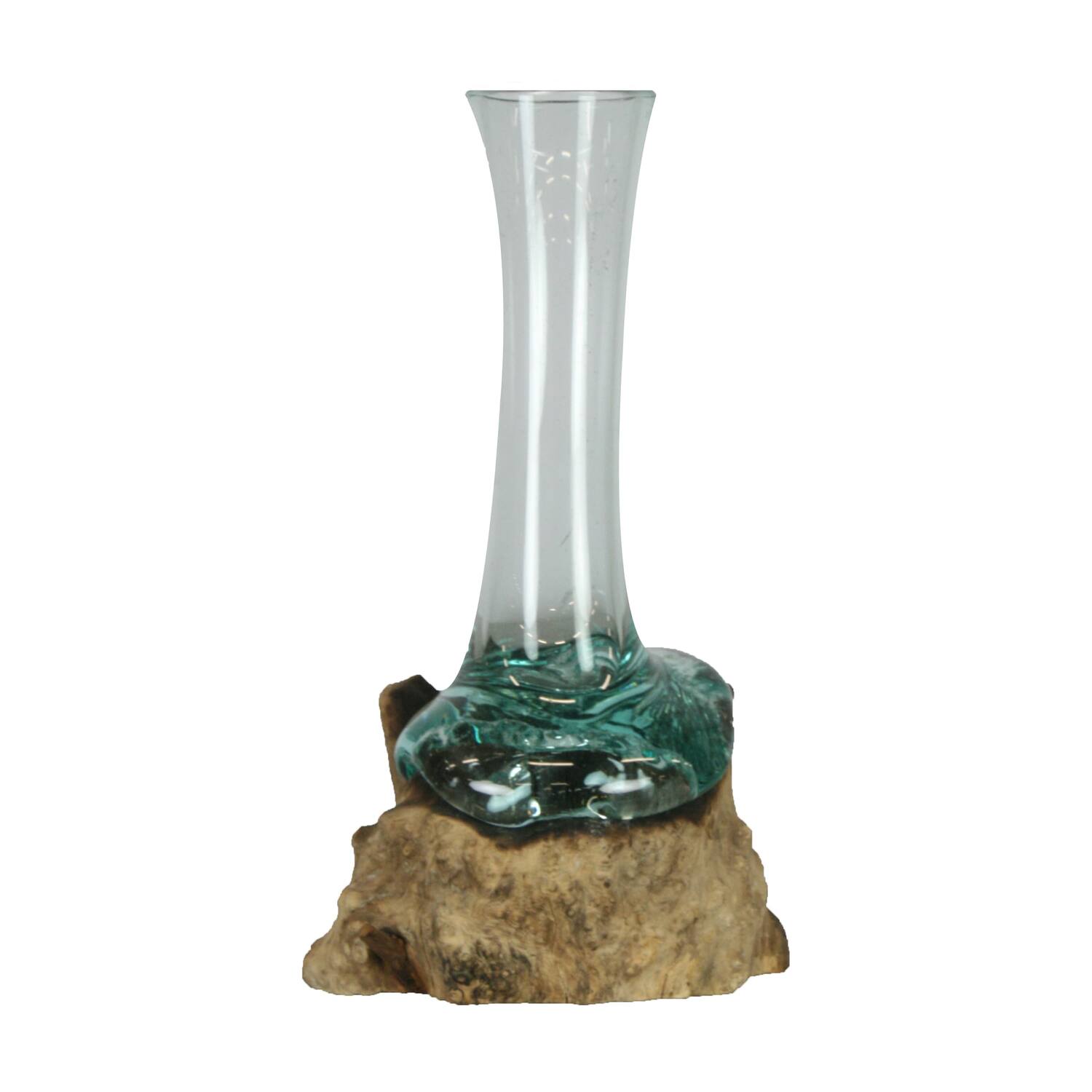 Root gamal wood with glass 18x18x28cm