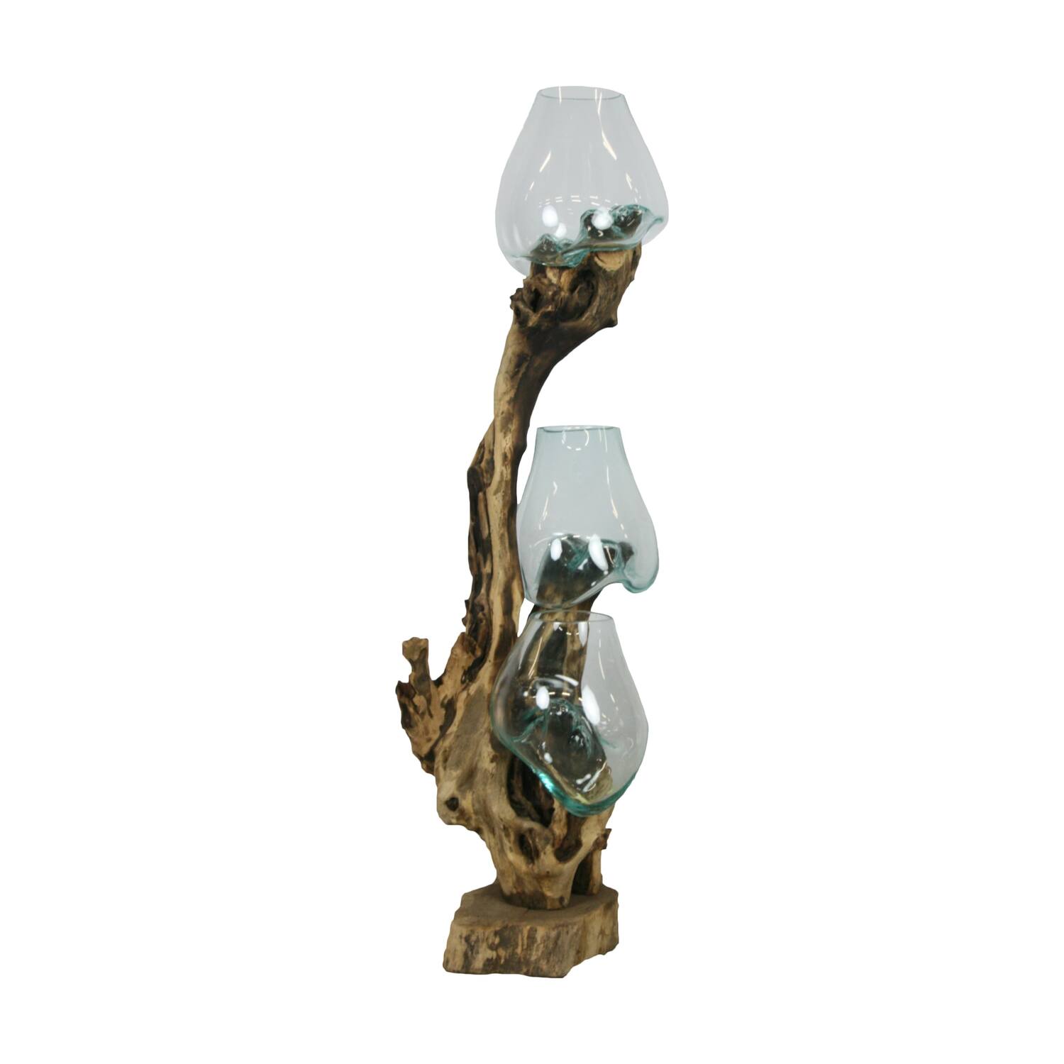 Root teak wood with glass 50x40x115cm - Natural