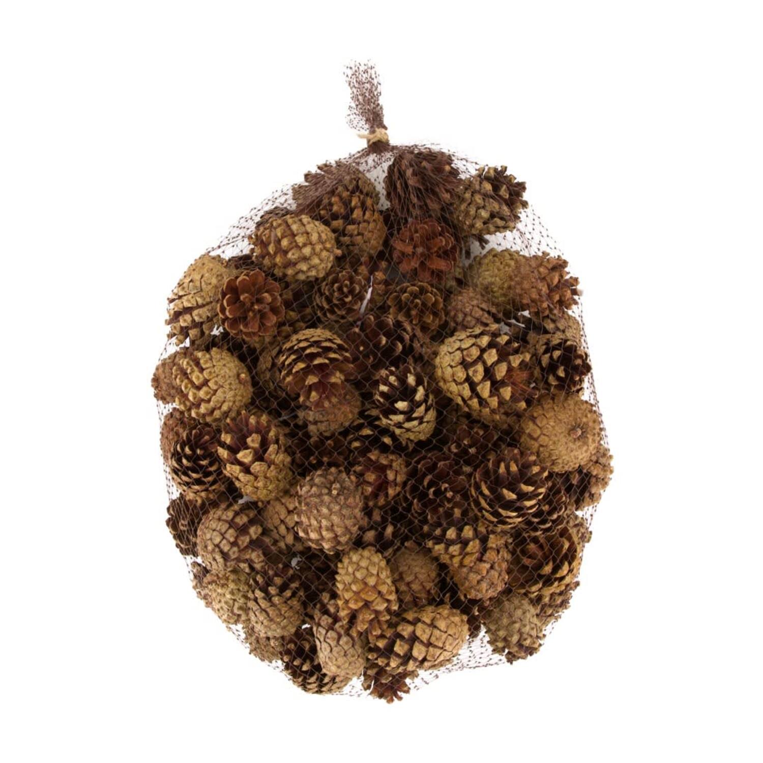 Pinecone silvesters nature 1kg - Natural