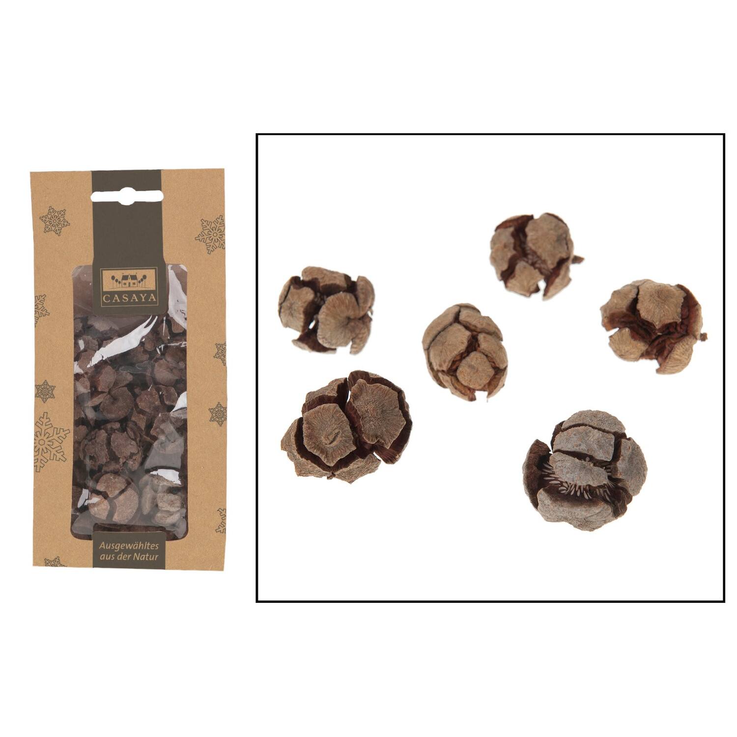 CASAYA Zypressen, ca. 200g natur