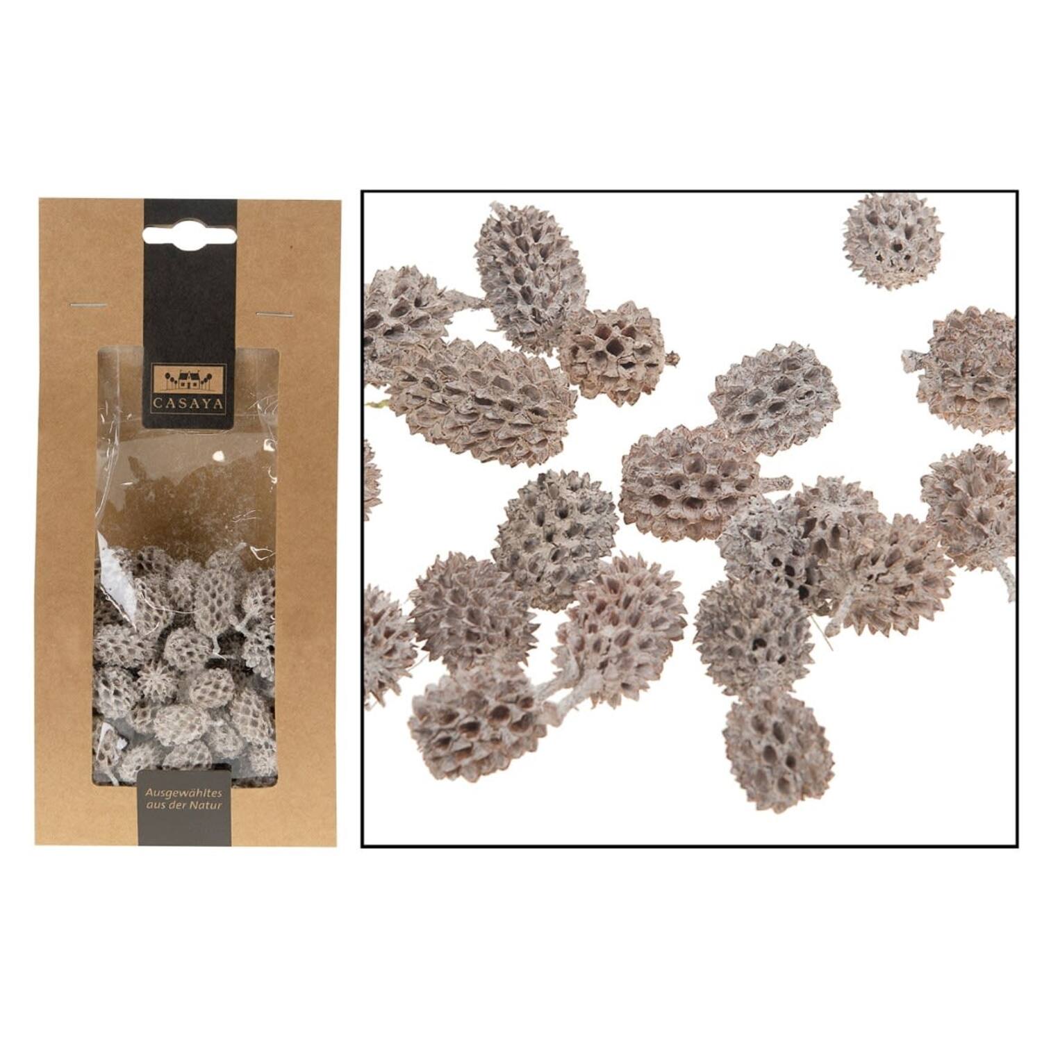 CASAYA Casuarina 100g weiss