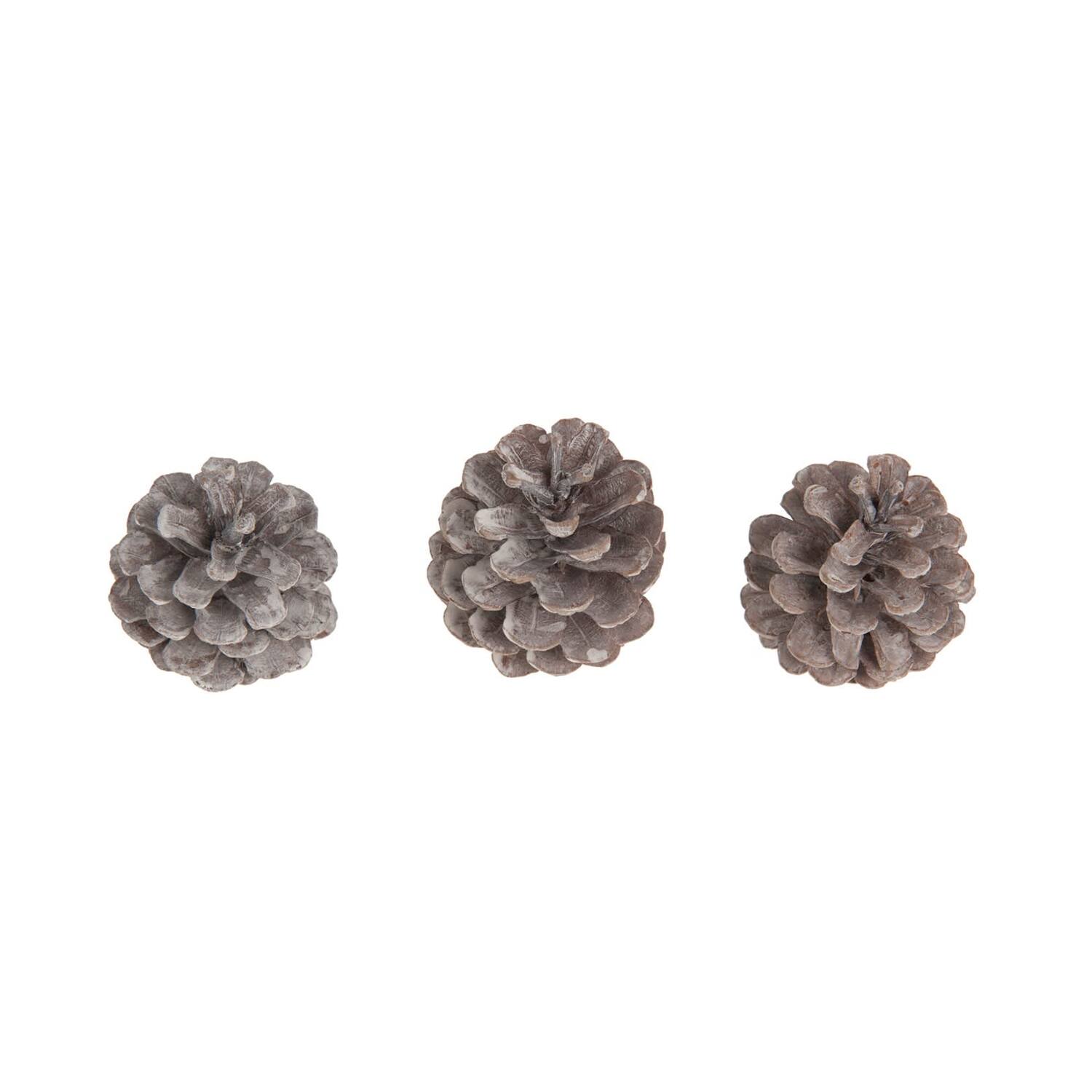 CASAYA Kieferzapfen, ca. 250g weiss-gewischt