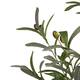Tree olive artificial 70x70x150cm - Green
