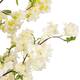 Tree peach blossom artificial 100x80x200cm - White