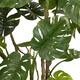 Plant monstera artificial 120x120x210cm - Green