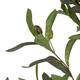 Tree olive tree artificial 70x70x120cm - Green