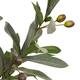Tree olive tree artificial 70x70x150cm