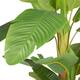 Tree banana artificial 115x120x200cm - Green