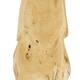 Champignon - Bois de teck - Naturel - 28x30cm
