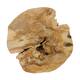 Champignon - Bois de teck - Naturel - 28x30cm