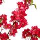 Tree blossom artificial 51x46x115cm - Pink