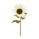 Flower sunflower artificial 100x38x38cm - White