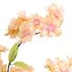 Tree blossom artificial 50x50x115cm - Orange