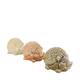 Statue hedgehog ceramic 17x12x11.5cm- Multi