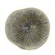 Bowl ceramic 26x26x10cm - Grey