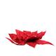 Flower velvet poinsettia artificial 70x70x24cm