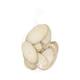 Slice 200gr birch 12x12x5cm - Natural