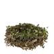 Wreath bonsai nature 45x12x45cm