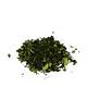 Black moss 250gr - Green