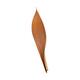 Coco giant 60-80cm