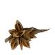 Penca sororoca medium - Natural