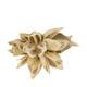 Penca sororoca medium - Cream