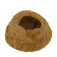 Sapucaja 12-18cm - Natural