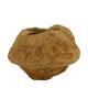 Sapucaja 12-18cm - Natural