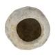 Sapucaja 12-18cm - White