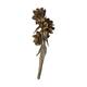 Sororoca 3 flowers nature 76x25x20cm - Natural