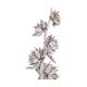 Sororoca trunk 150-170cm - White