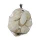 Baobab medium 8-12cm 10pc - White