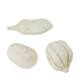 Baobab medium 8-12cm 10pc - White