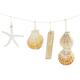 Garland driftwood with shells 10x2x70cm - Natural