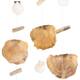 Hanger nature with shells 38x2x80cm