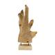 Statue erosion wood on feet 35x15x58cm