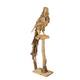 Statue parrot erosion wood on stand 55x68x230cm