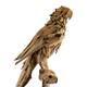 Statue parrot erosion wood on stand 55x68x230cm