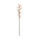 Flower cymbidium foam 90x13x10cm - Pink