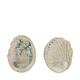 Shell abalone mini nature 21x10x3cm 200gr - Natural