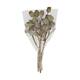 Branch bellgums nature 35x25x12cm - Natural