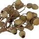 Branch bellgums nature 35x25x12cm - Natural