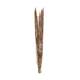 Assegaai 80x10x3cm 5pc - Natural