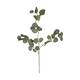 Branch eucalyptus artificial 85x30x5cm - Green