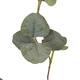 Branch eucalyptus artificial 85x30x5cm - Green