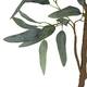 Tree eucalyptus globulus artificial 150x80x25cm