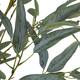 Tree eucalyptus globulus artificial 120x70x25cm