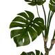 Plant monstera artificial 200x90x30cm - Green